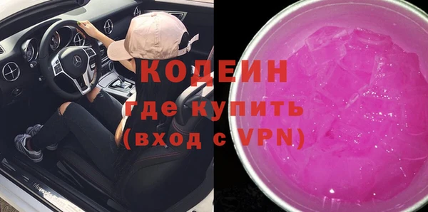 индика Бородино
