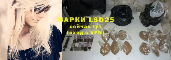 индика Бородино