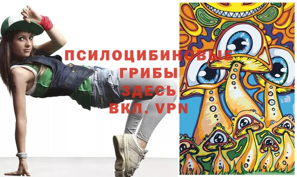 индика Бородино