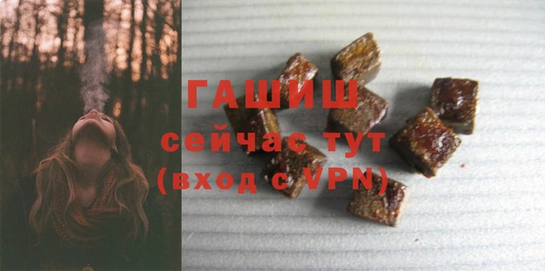 индика Бородино