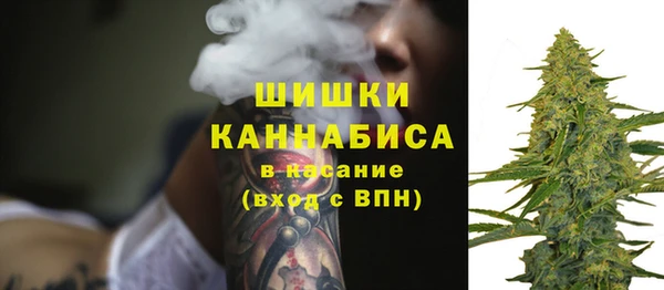индика Бородино