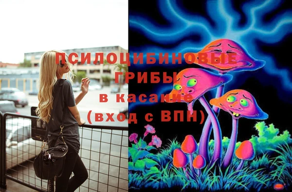 Альфа ПВП Бугульма