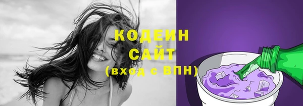 индика Бородино
