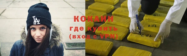 индика Бородино