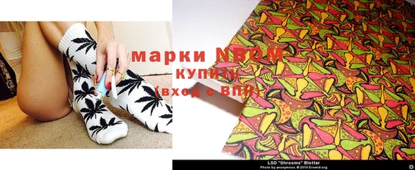 индика Бородино