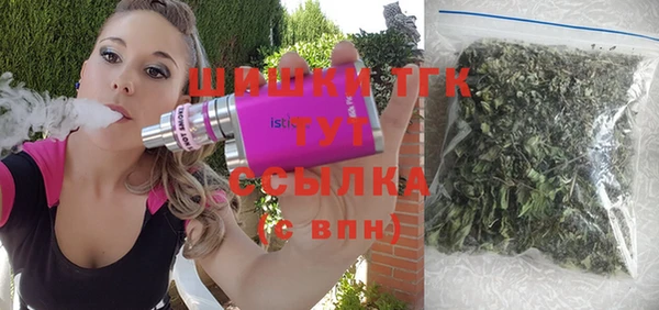 индика Бородино