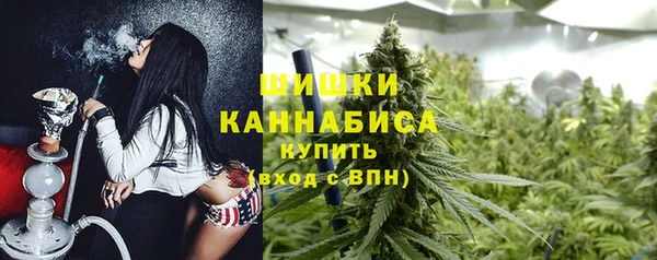Альфа ПВП Бугульма