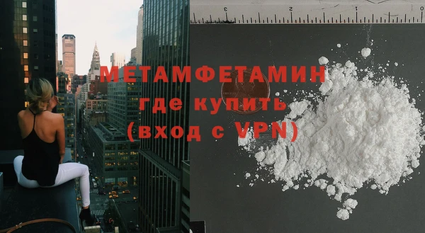 индика Бородино