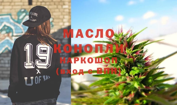 индика Бородино
