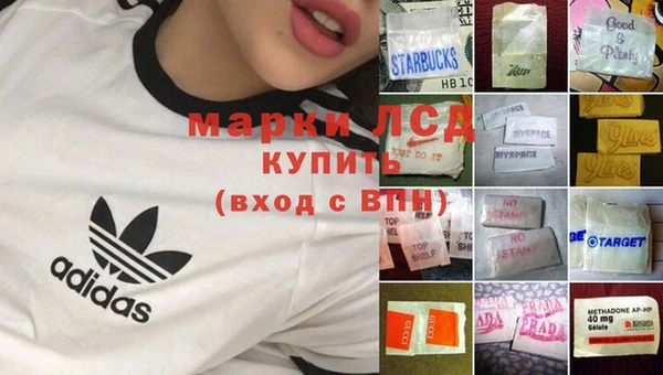 индика Бородино