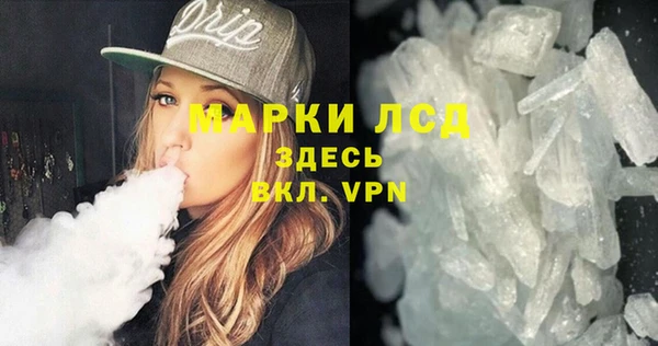 индика Бородино