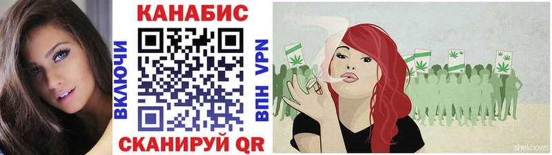 Шишки марихуана гибрид  Александровское 